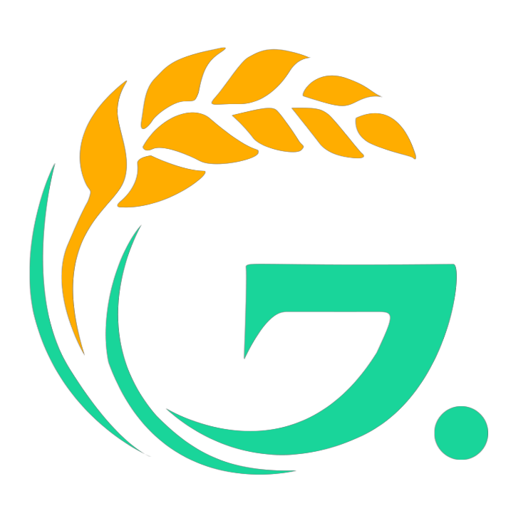 Gebere.com LOGO