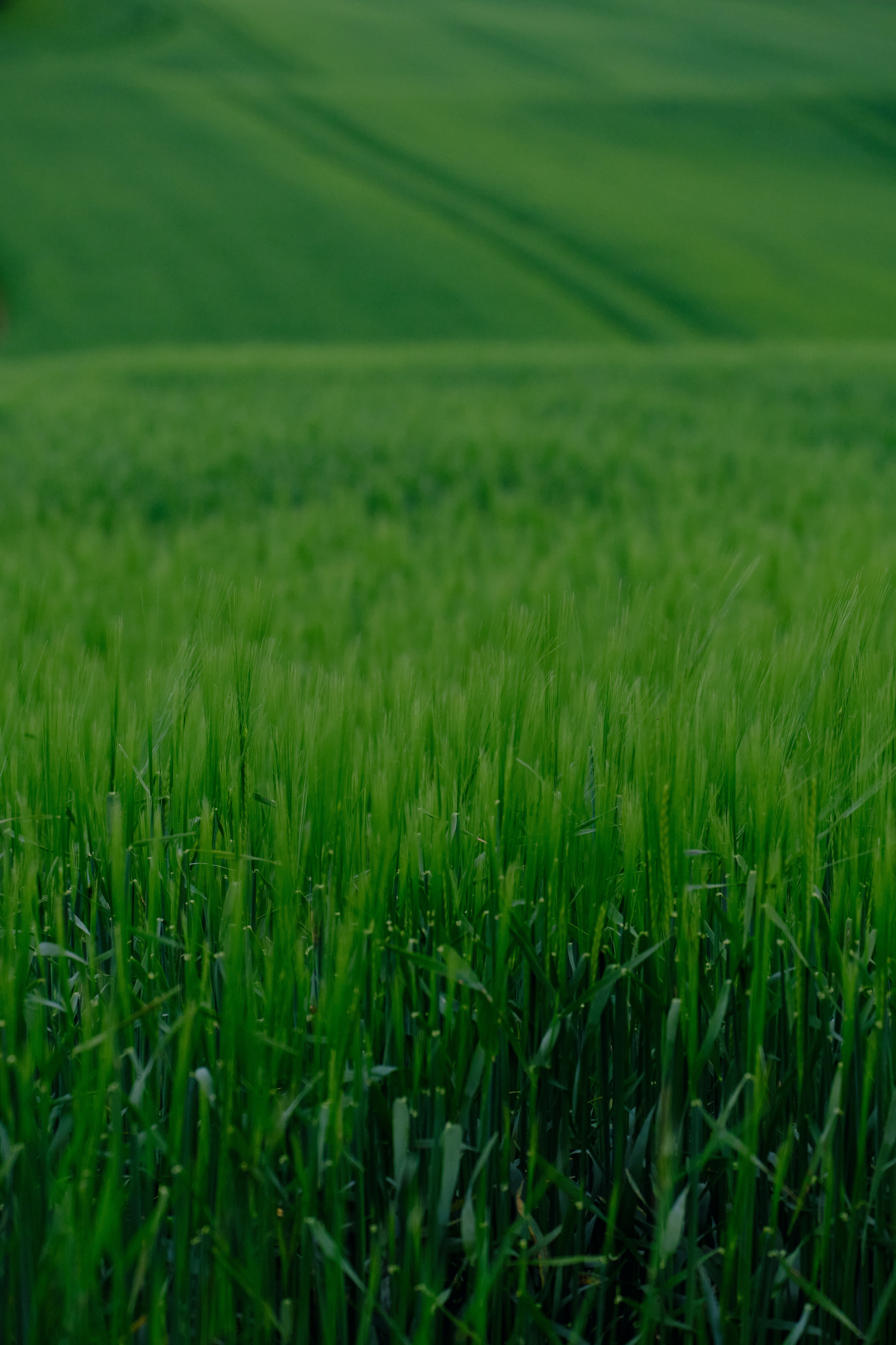 tim-schmidbauer-ZdXnzVkHyg4-unsplash
